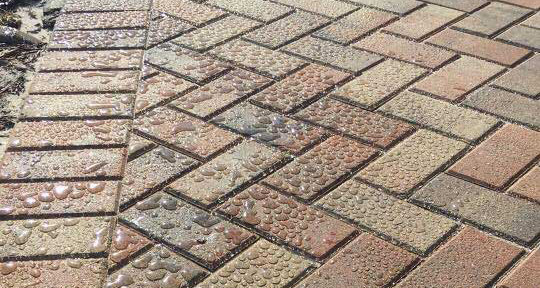 paver sealing service