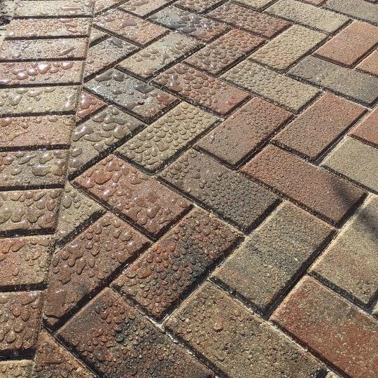 paver sealing services