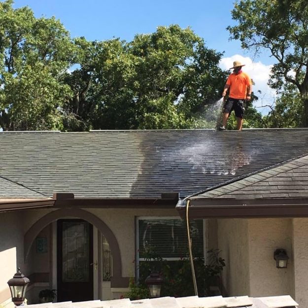 roof cleaning contractor