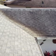 roof cleaning before and after photo