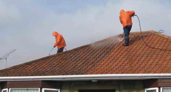 professional window cleaners trinity fl