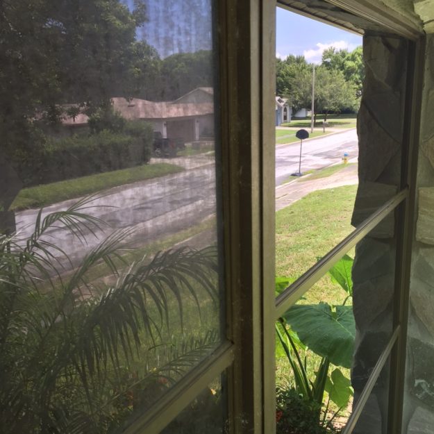 window cleaning service